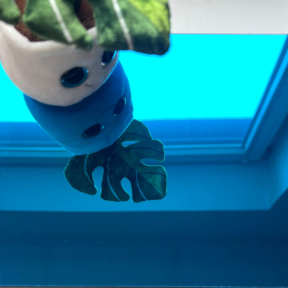 Aryl do obróbki laserowej w kolorze niebieskim