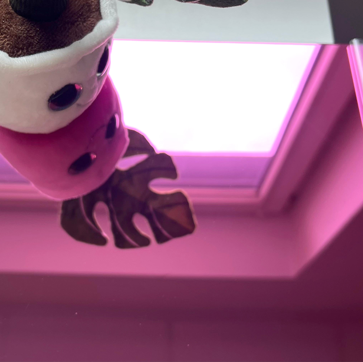 Akryl do obróbki laserowej w kolorze różowym