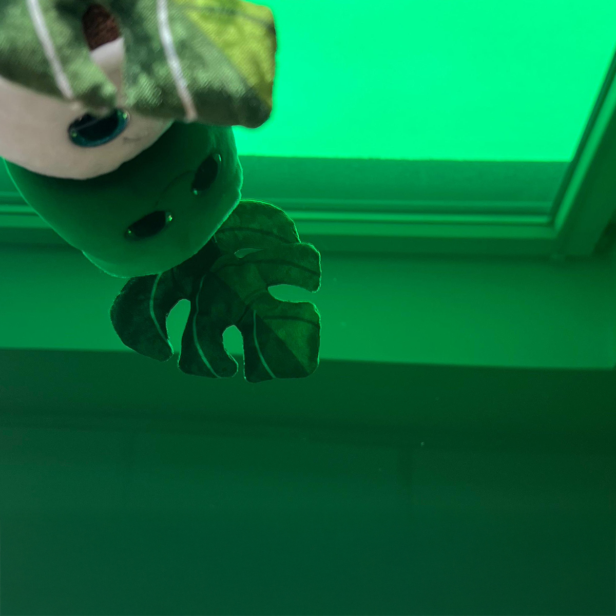 Zielona lustrzana plexi 2 mm